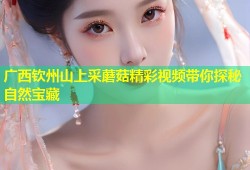 广西钦州山上采蘑菇精彩视频带你探秘自然宝藏