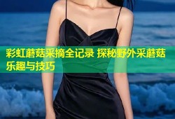 彩虹蘑菇采摘全记录 探秘野外采蘑菇乐趣与技巧