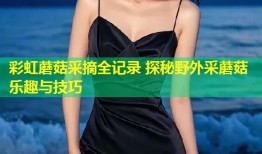 彩虹蘑菇采摘全记录 探秘野外采蘑菇乐趣与技巧