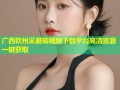广西钦州采蘑菇视频下载平台高清资源一键获取
