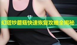 幻塔炒蘑菇快速恢复攻略全揭秘