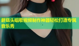 蘑菇头唱歌视频制作神器轻松打造专属音乐秀