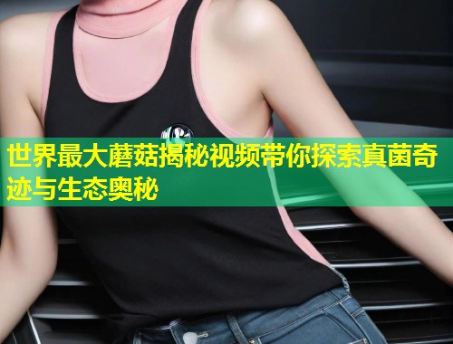世界最大蘑菇揭秘视频带你探索真菌奇迹与生态奥秘