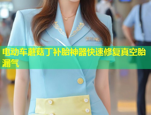 电动车蘑菇丁补胎神器快速修复真空胎漏气