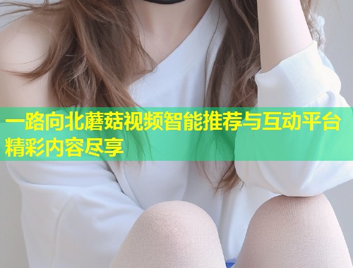 一路向北蘑菇视频智能推荐与互动平台精彩内容尽享