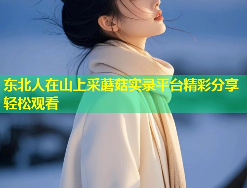 东北人在山上采蘑菇实录平台精彩分享轻松观看