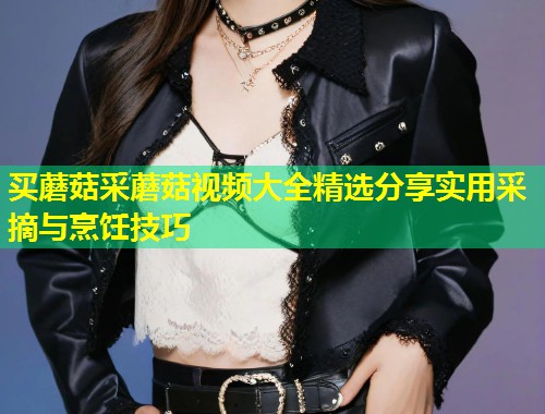 买蘑菇采蘑菇视频大全精选分享实用采摘与烹饪技巧